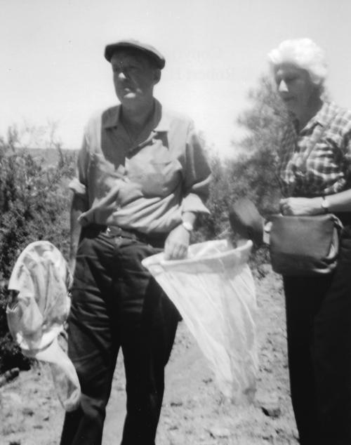 VN hunting butterflies in the vicinity of Oak Creek Canyon, Arizona, 1-2 July, 1959. Photographs by Robert H. Boyle.